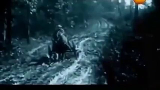 Как была создана Рокфелерами официальная медицина