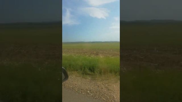 Лето-2021. Дорога на пейнтбол. смотреть онлайн