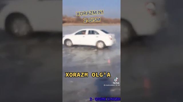 Кобилт битта каптивага йетолмайди бошка лубойин йоради смотреть онлайн