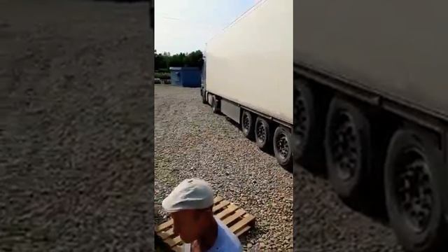 Яблоки сорт Айдаред, сезон 2020 смотреть онлайн