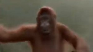 Смешное видео как абезяна танцует танец под. Песню