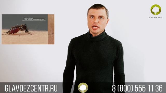 Комары | СЭС Главдезцентр смотреть онлайн