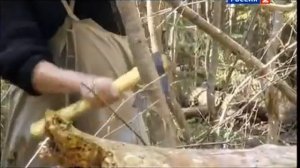 Рейтинг Баженова "Могло быть хуже".Клещи(№12)