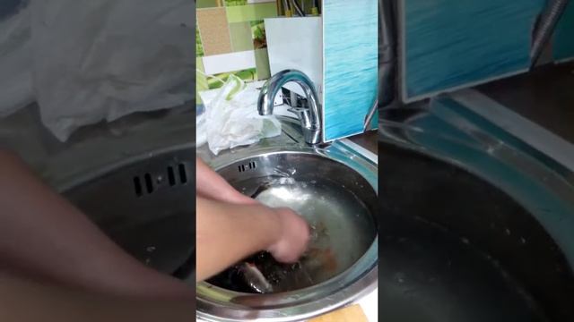 Чистилка для рыбы смотреть онлайн