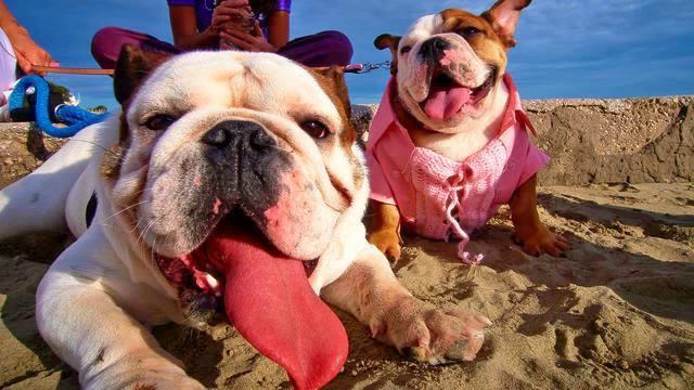 Музыка юга. Реальный хит! Поднимает настроение! смотреть онлайн