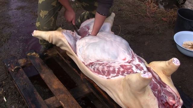 Лучший способ разделки домашней свиньи смотреть онлайн