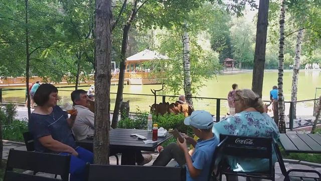 Новосибирск 2018. Зоопарк смотреть онлайн