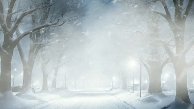 Snowstorm in the forest & Winter storm wind, ambience смотреть онлайн