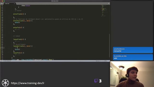 VueJs - J7 - Transitions смотреть онлайн