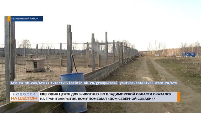 Еще один центр для животных во Владимирской области оказался на грани закрытия. смотреть онлайн