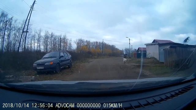 Козёл забодал ребёнка смотреть онлайн