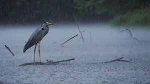 СНЯТО НА NIKON COOLPIX P600