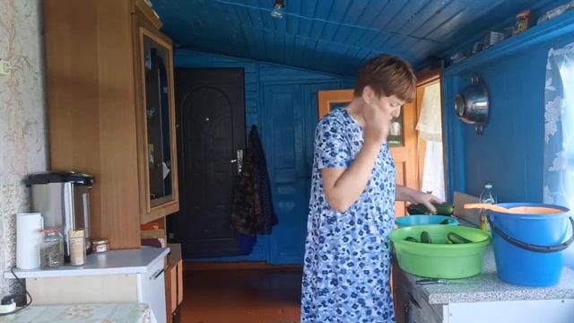 Тики Текс!!! Красота да и только!!! Хозяйничаю/ Закрутила огурцы/ смотреть онлайн