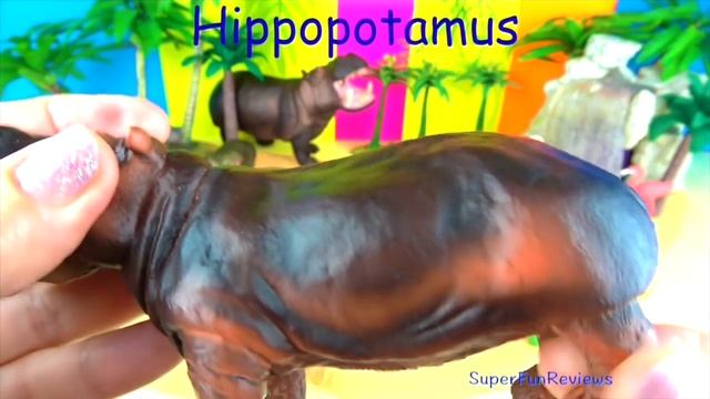 Learn Wild Animals - Hippopotamus - Zoo Animals - Kids Toys - Educational Toys смотреть онлайн