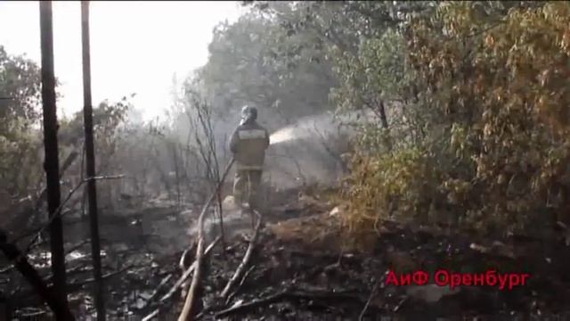 Пожар в дачном массиве на горе Сулак смотреть онлайн