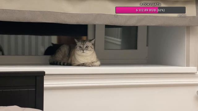 Добрый вечер смотреть онлайн