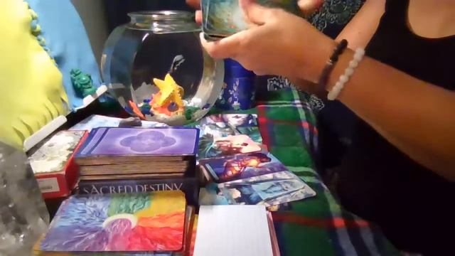 Magic Meda Tarot & More - Rename Thanksgiving wth? смотреть онлайн