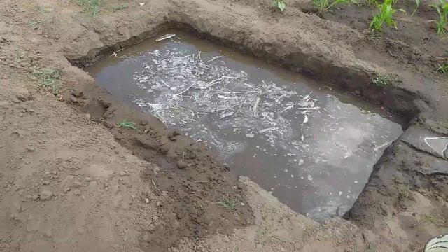 Эксперимент с дренажем почвы смотреть онлайн