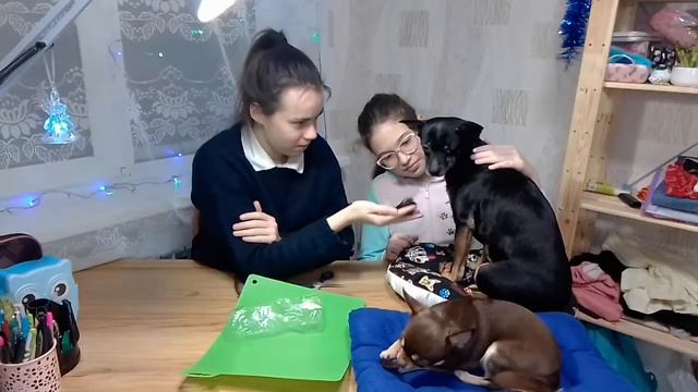 КРОЛИЧЬИ УШИ С КРОВЬЮ И ШЕРСТЬЮ! УЖАС! | ОБЗОР | Dogs and Girls ?? смотреть онлайн