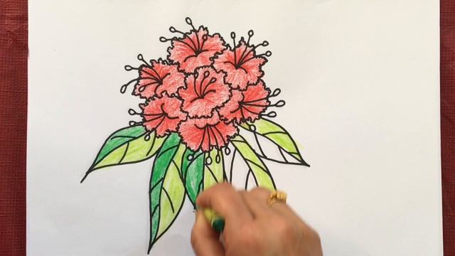 How To Draw And Colour लालीगुराँस (Rhododendron) With Crayons And Marker Pens
