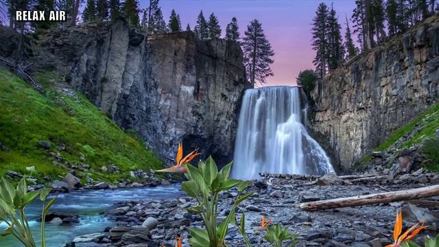 Музыка для Сна | Шум Воды | Пение Птиц смотреть онлайн