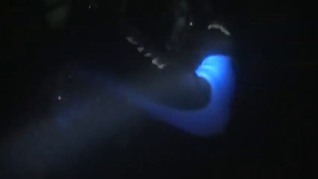 Ночной дайвинг в Одессе смотреть онлайн