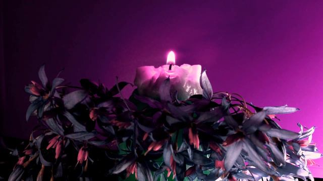 Alexander Kathleen - La portile viselor. смотреть онлайн