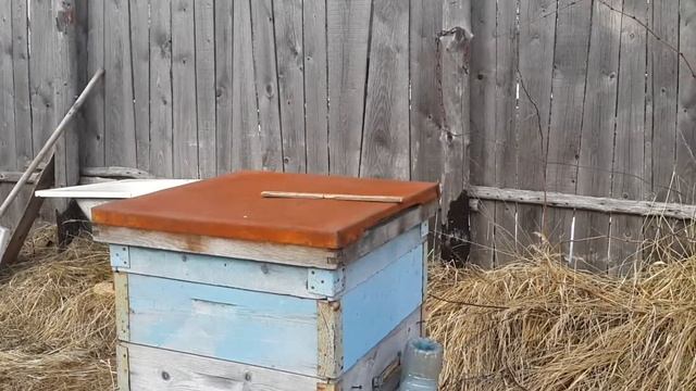 Без утепления пчёлы перезимовали смотреть онлайн