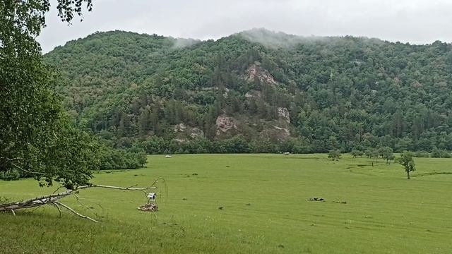 Путь дорожка на гору Бужа-Тау. Башкортостан. смотреть онлайн