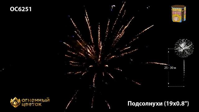 OC6251 смотреть онлайн