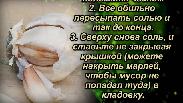 Как я храню чеснок зимой. Чеснок будто только с грядки. Как правильно хранить чеснок. смотреть онлайн