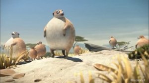 Круглые жывотные