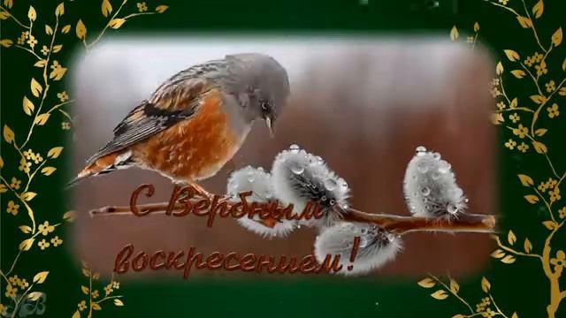 Вербное воскресенье смотреть онлайн