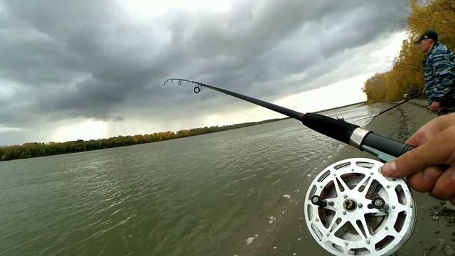 Великолепная Обь 2020. Часть 1. Осенний сазан, язь, лещ. рыбалка на крокодилы. Мы ждали не зря! смотреть онлайн