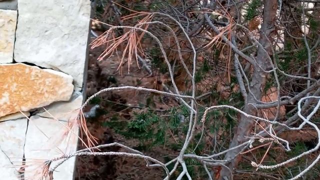 ЗАЗЕМЛЕНИЕ ДЛЯ ЧАСТНОГО ДОМА И ДАЧИ СВОИМИ РУКАМИ смотреть онлайн