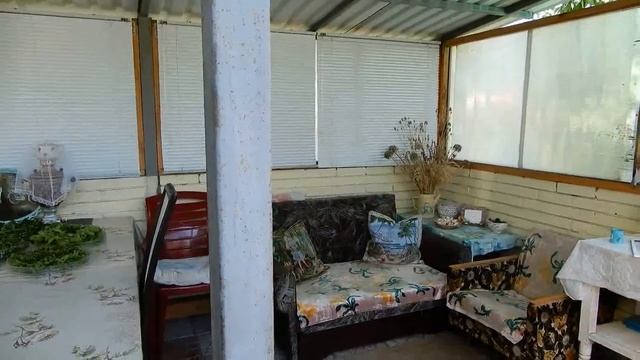 Моя дача.Сушить или замораживать?Заготавливаю ароматные травы. смотреть онлайн
