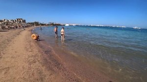 Египет 🇪🇬 Какие недостатки?The Grand Resort Hurghada / Питание в пятерке / Пляж и бар на пляже.