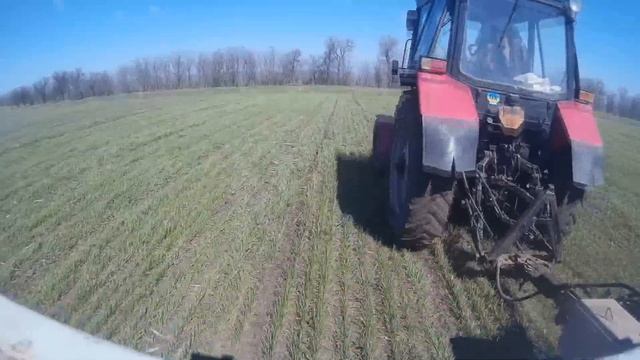 делаем 1ю подкормку озимым Сз 3,6 и МТЗ 82 смотреть онлайн