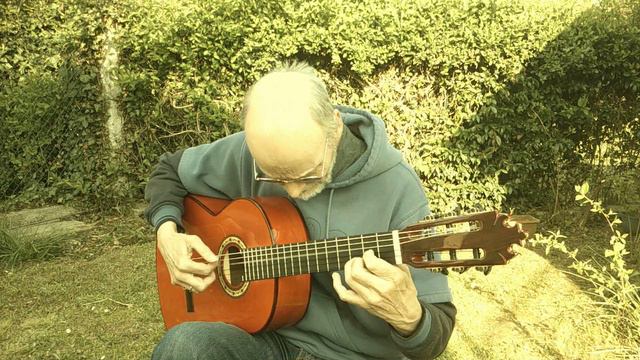 The House of the Rising Sun - played on my Soleá Especial 2020 Francisco Bros смотреть онлайн