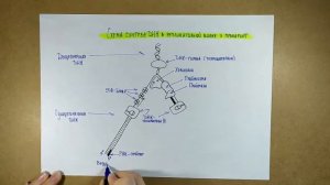 Ферментативная система репликации прокариот