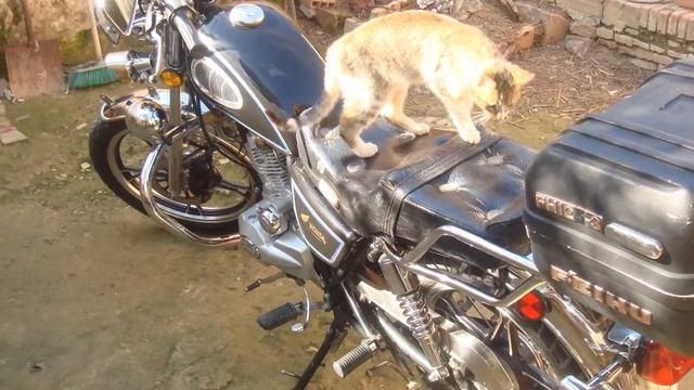 modification de moto suzuki gn 125cc смотреть онлайн