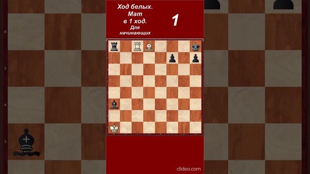 Слон и Ладья Мат в 1 ход ♗♖ Шахматы ♔ Шахматные задачи ♕ Для начинающих онлайн смотреть онлайн