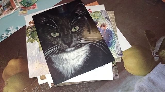 #посткроссинг #входящие #почтальон #открытка #postkarte смотреть онлайн