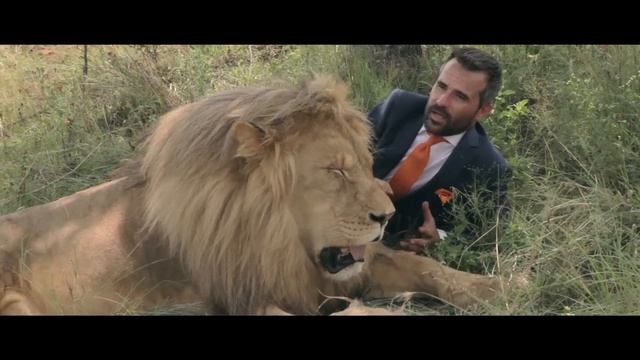A world's first: Kevin Richardson playing football with wild lions (FULL VIDEO) смотреть онлайн