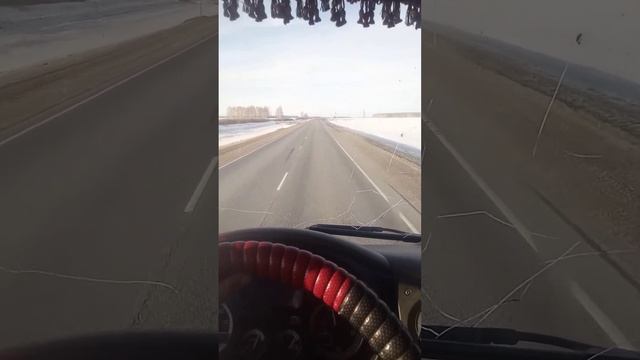 Daf-105 ошибка модуль кузовостроения смотреть онлайн