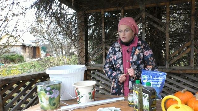 ОГОРОД НА ОКНЕ: ЧТО НЕОБХОДИМО И КАК СДЕЛАТЬ! смотреть онлайн