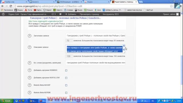 Лесные грибы: магия природы