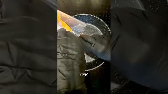 Зеленый уголок домашнего животного