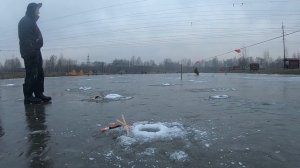 ЛОВЛЯ ФОРЕЛИ НА ИКРУ НА ПЛАТНИКЕ