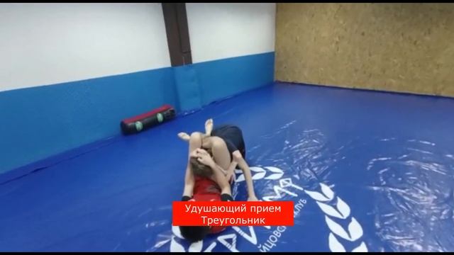 Комплекс болевых и удушающих приемов в панкратионе